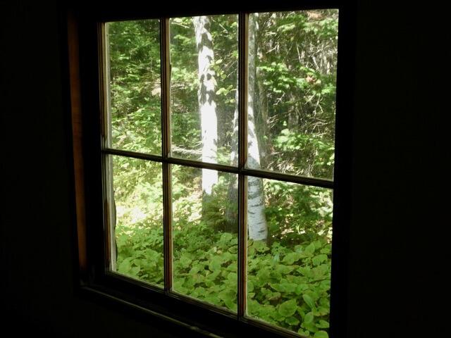 58 MacDonald Road Oxbow, ME 04764 - Photo 2 of 43 woodland view