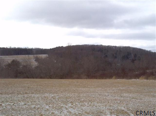 99 Farmers Inn Road Hoosick Falls, NY 12090 - Photo 3 of 15 Photo 3