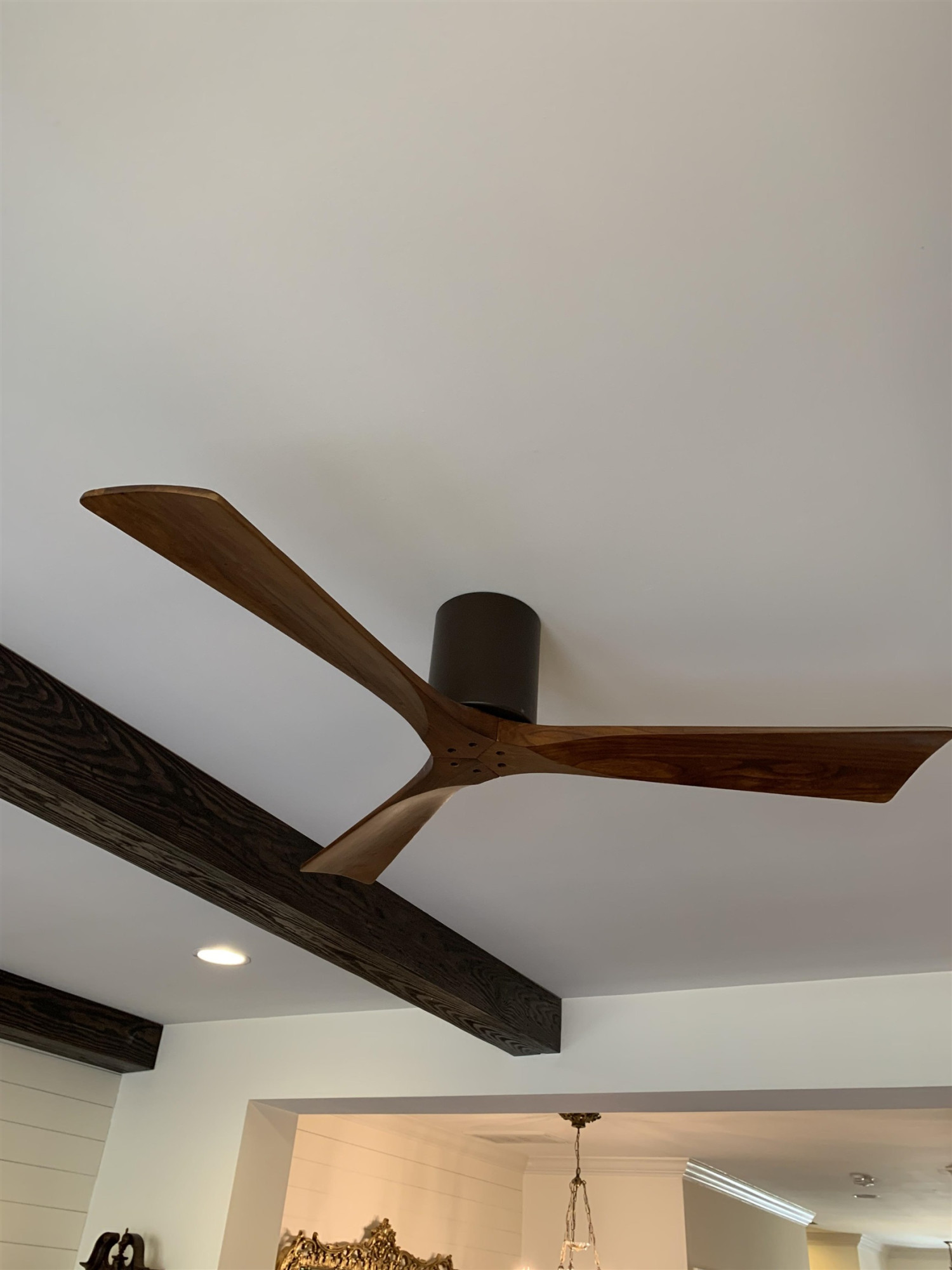 661 Fallon Grove Way Raleigh, NC 27608 - Photo 17 of 39 Decorator Upgraded Fan