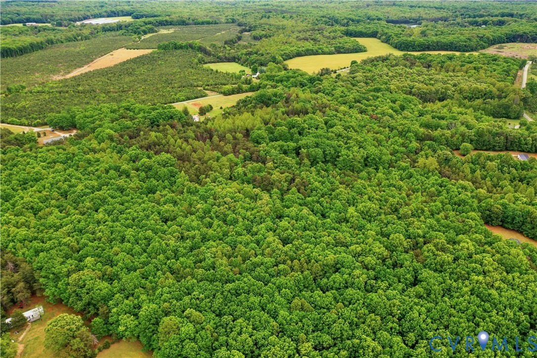 0 Elam Road Pamplin, VA 23958 - Photo 10 of 10