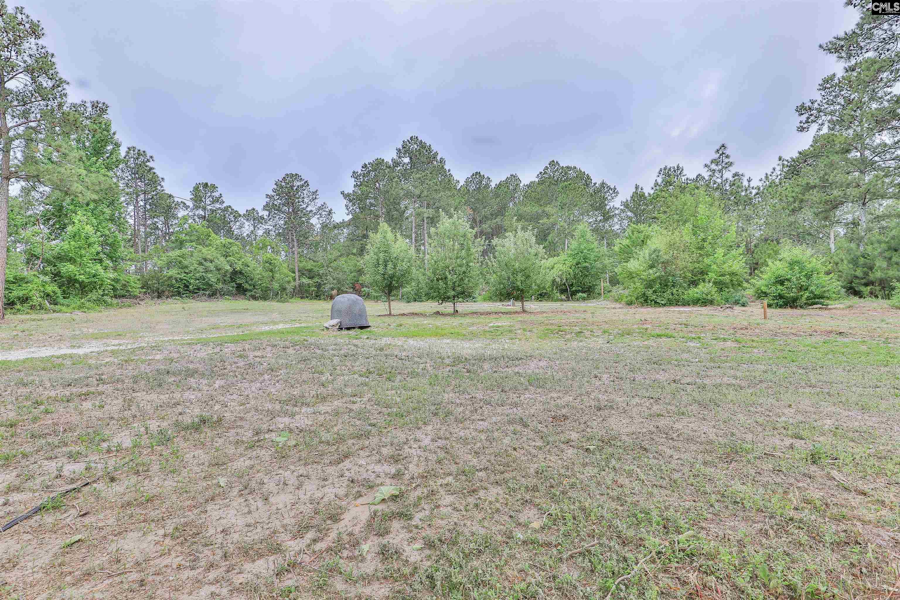 3209 Old Charleston Road Gilbert, SC 29054 - Photo 40 of 50