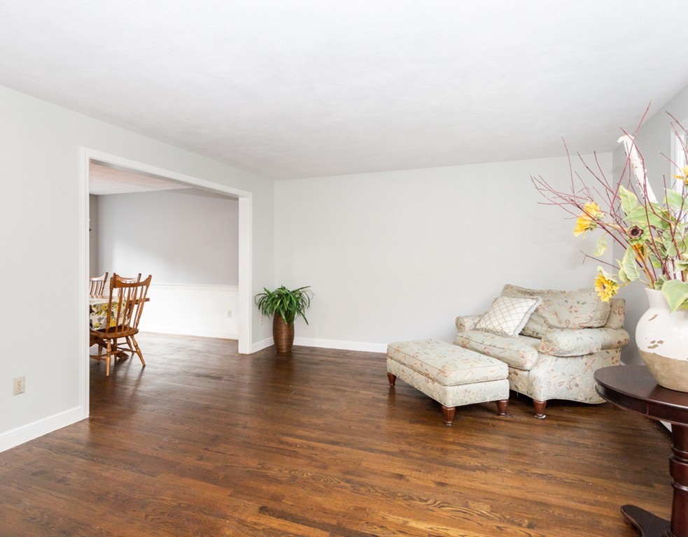 6 Goffe Road Lexington, MA 02421 - Photo 7 of 30 a living room with furniture and a potted plant