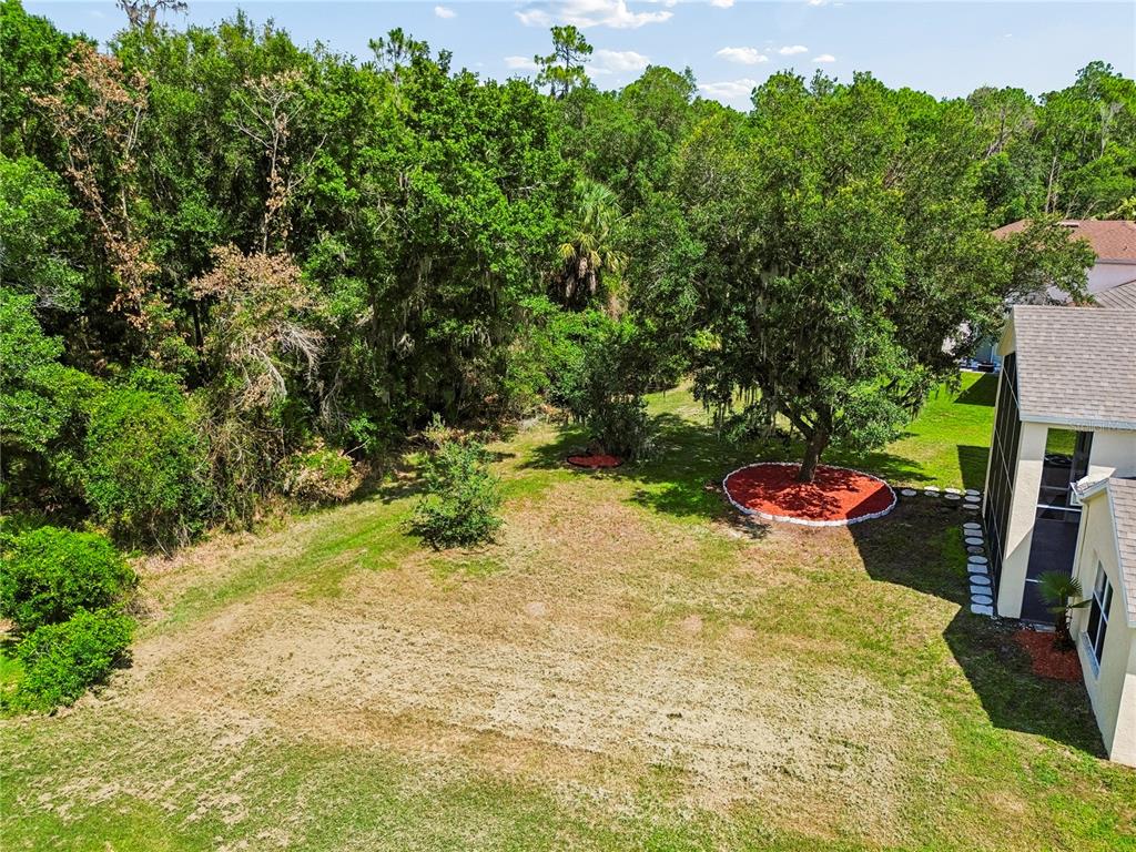 16936 Falconridge Road Lithia, FL 33547 - Photo 76 of 87