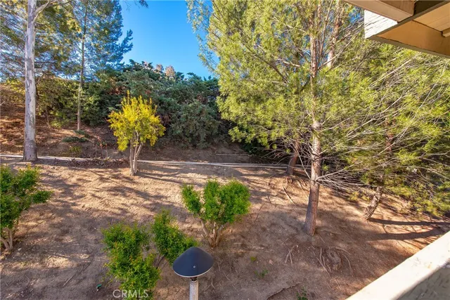 a view of a backyard with plants and trees