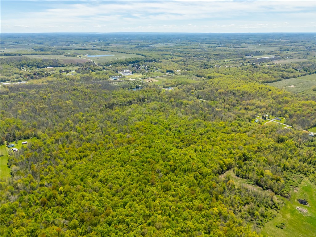 0 Pratt Road Webster, NY 14580 - Photo 6 of 15 Excellent hunting & recreation potential