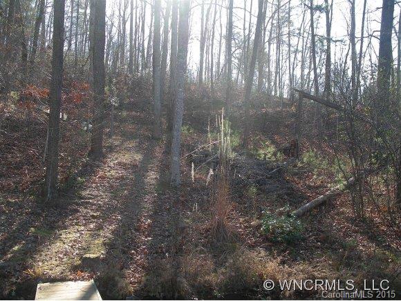 Lot 28 South Cove Rd Mill Spring, Unit 28 Mill Spring, NC 28756 - Photo 2 of 9