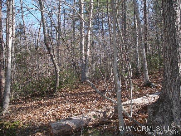 Lot 28 South Cove Rd Mill Spring, Unit 28 Mill Spring, NC 28756 - Photo 3 of 9