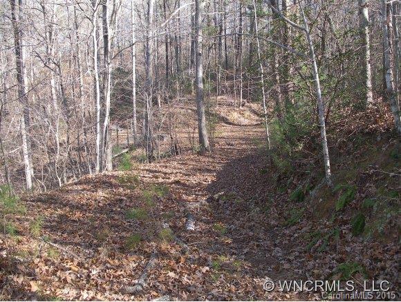 Lot 28 South Cove Rd Mill Spring, Unit 28 Mill Spring, NC 28756 - Photo 4 of 9