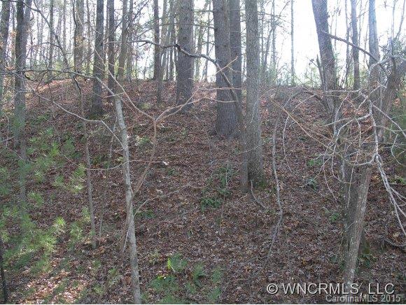 Lot 28 South Cove Rd Mill Spring, Unit 28 Mill Spring, NC 28756 - Photo 5 of 9