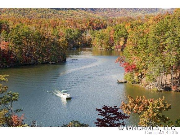 Lot 28 South Cove Rd Mill Spring, Unit 28 Mill Spring, NC 28756 - Photo 6 of 9