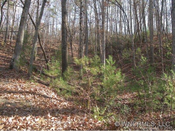 Lot 28 South Cove Rd Mill Spring, Unit 28 Mill Spring, NC 28756 - Photo 7 of 9