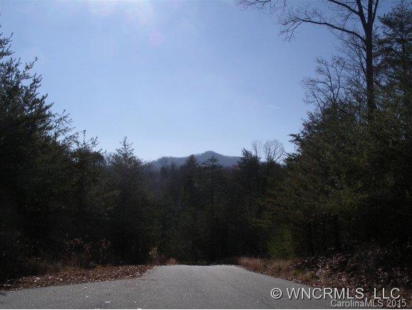 Lot 28 South Cove Rd Mill Spring, Unit 28 Mill Spring, NC 28756 - Photo 8 of 9