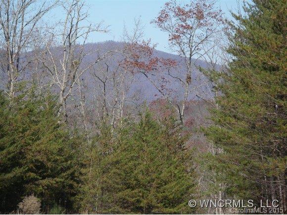 Lot 28 South Cove Rd Mill Spring, Unit 28 Mill Spring, NC 28756 - Photo 9 of 9