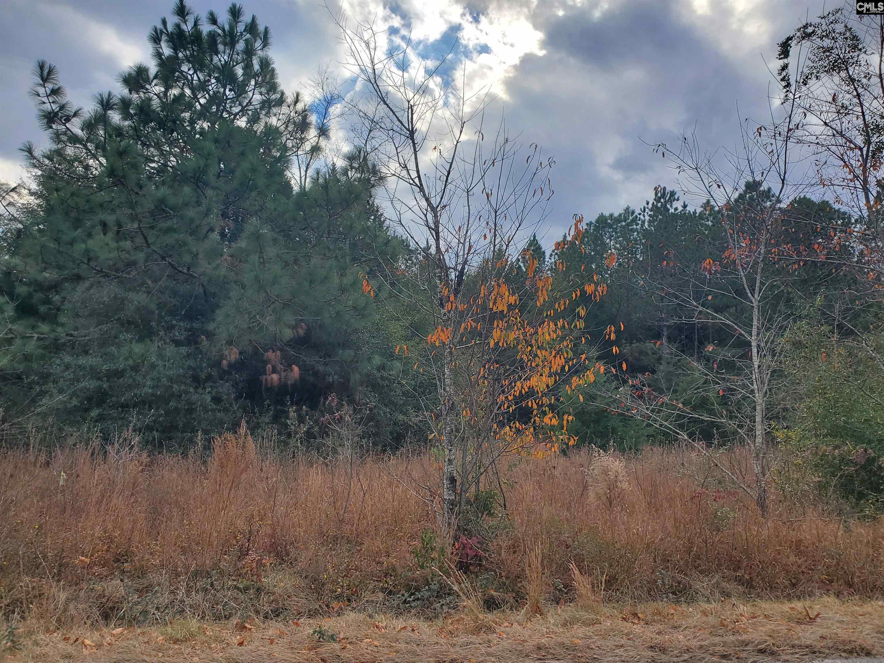 1152 Water Tank Road Pelion, SC 29123 - Photo 45 of 46