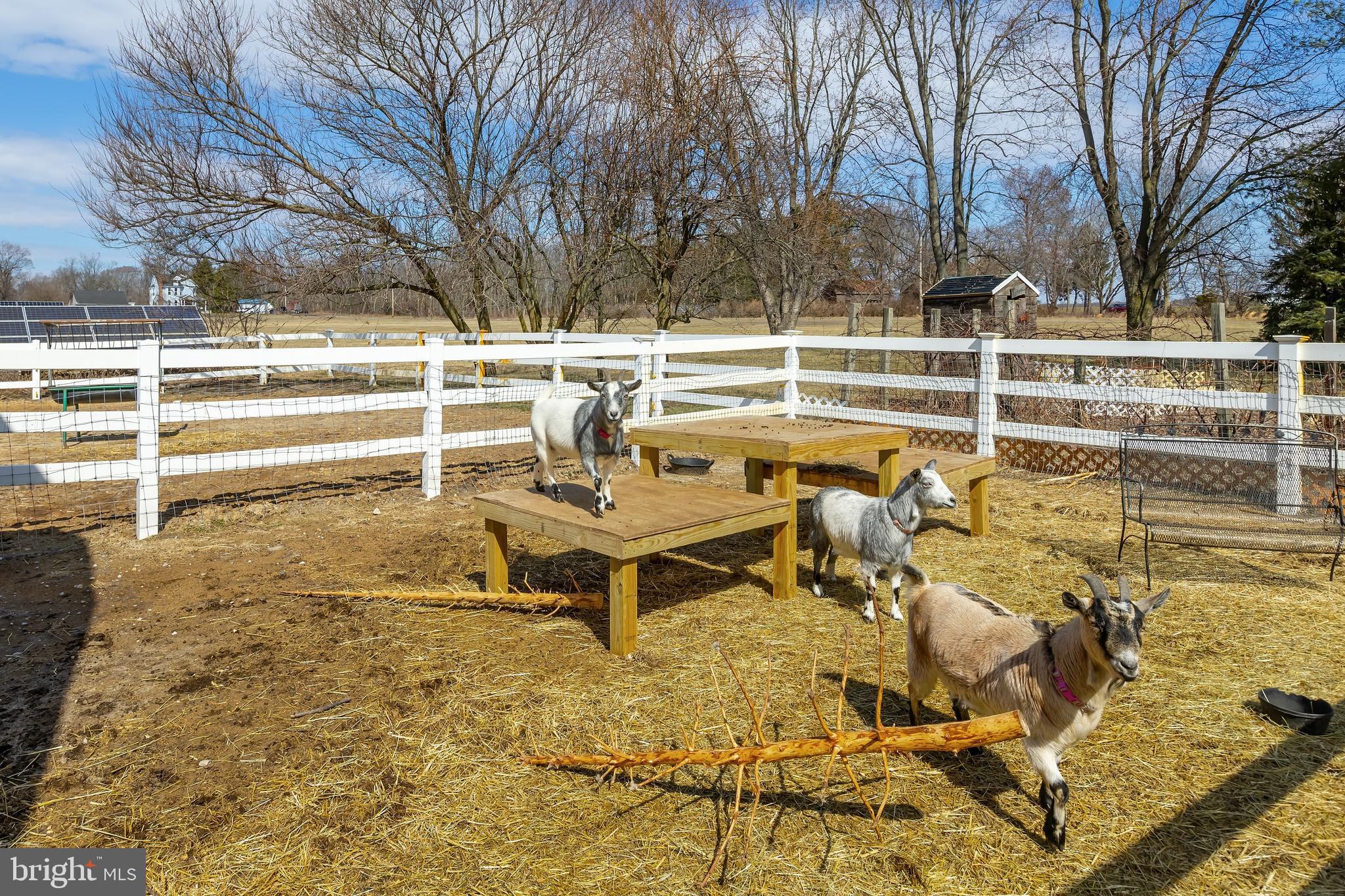 54 Vestry Road Swedesboro, NJ 08085 - Photo 27 of 59 Gallery Image 27