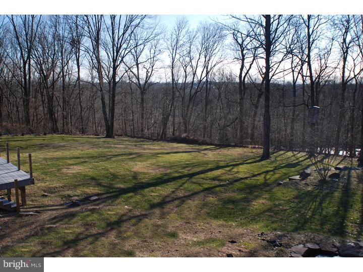 1900 Sugar Bottom Road Furlong, PA 18925 - Photo 13 of 21 View in Back