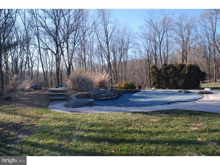 1900 Sugar Bottom Road Furlong, PA 18925 - Photo 19 of 21 Pool