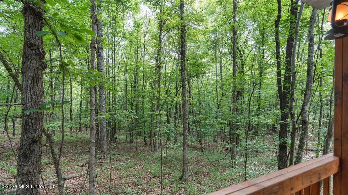 664 Mt Zion Road, Unit 664 Camden, MS 39045 - Photo 27 of 45 23-IMG_3669