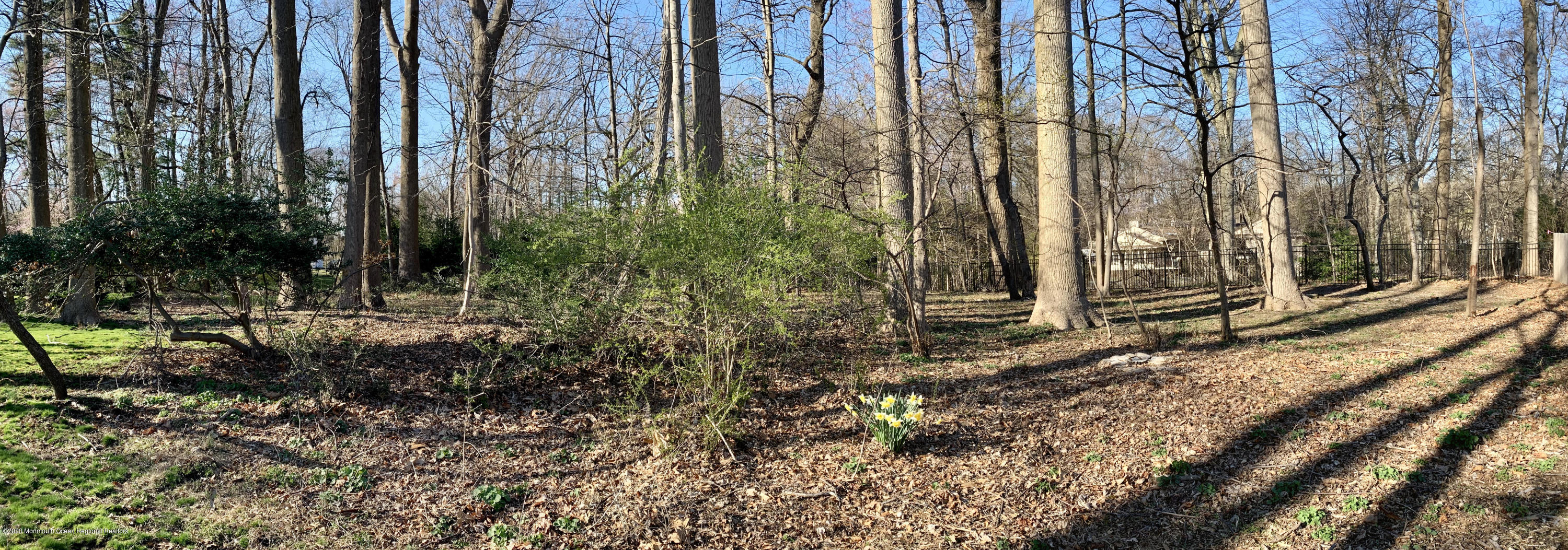1 Woods End Road Rumson, NJ 07760 - Photo 44 of 48 43-Backyard wooded area