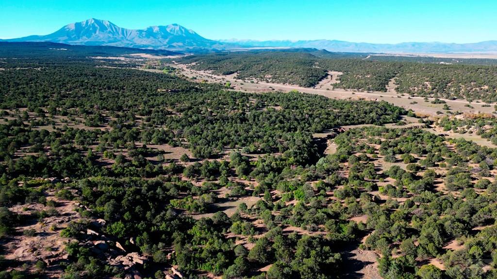 Tbd Bear Creek Road Walsenburg, CO 81089 - Photo 11 of 37