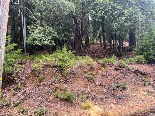 a view of outdoor space with deck and yard