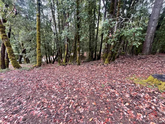 a backyard of a house with lots of green space