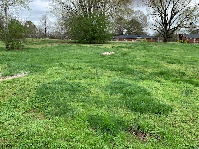 94 Clara Lee Road Rossville, GA 30741 - Photo 18 of 20 IMG_1042-2
