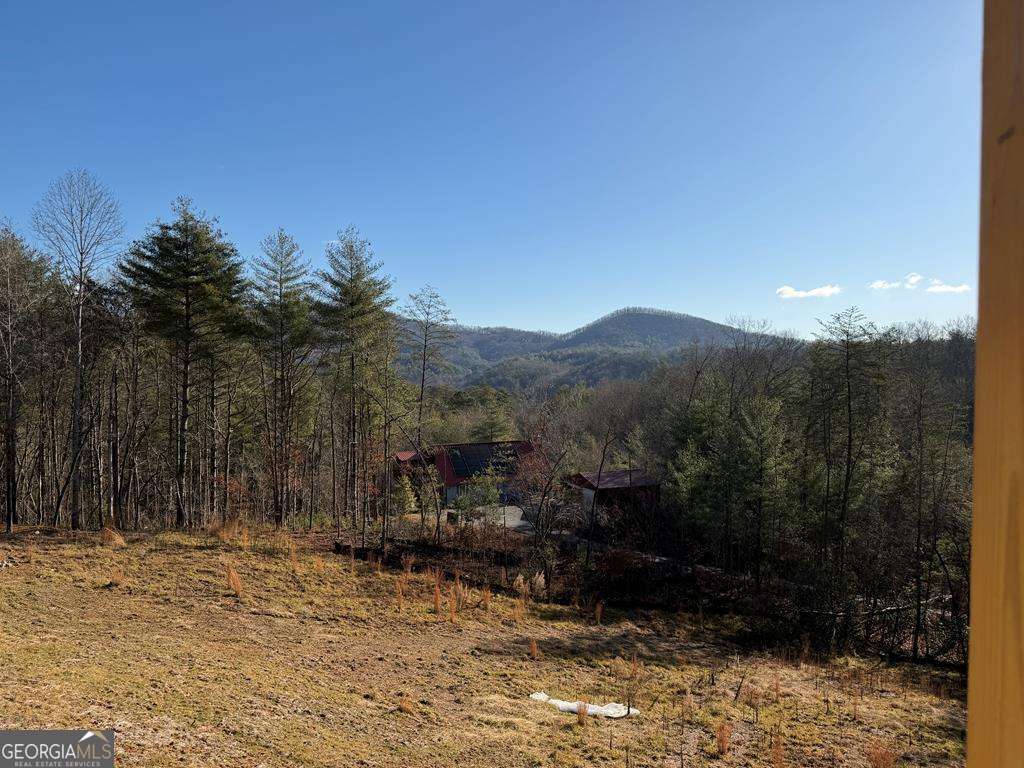 20 B Twin Springs Road Mineral Bluff, GA 30559 - Photo 14 of 48