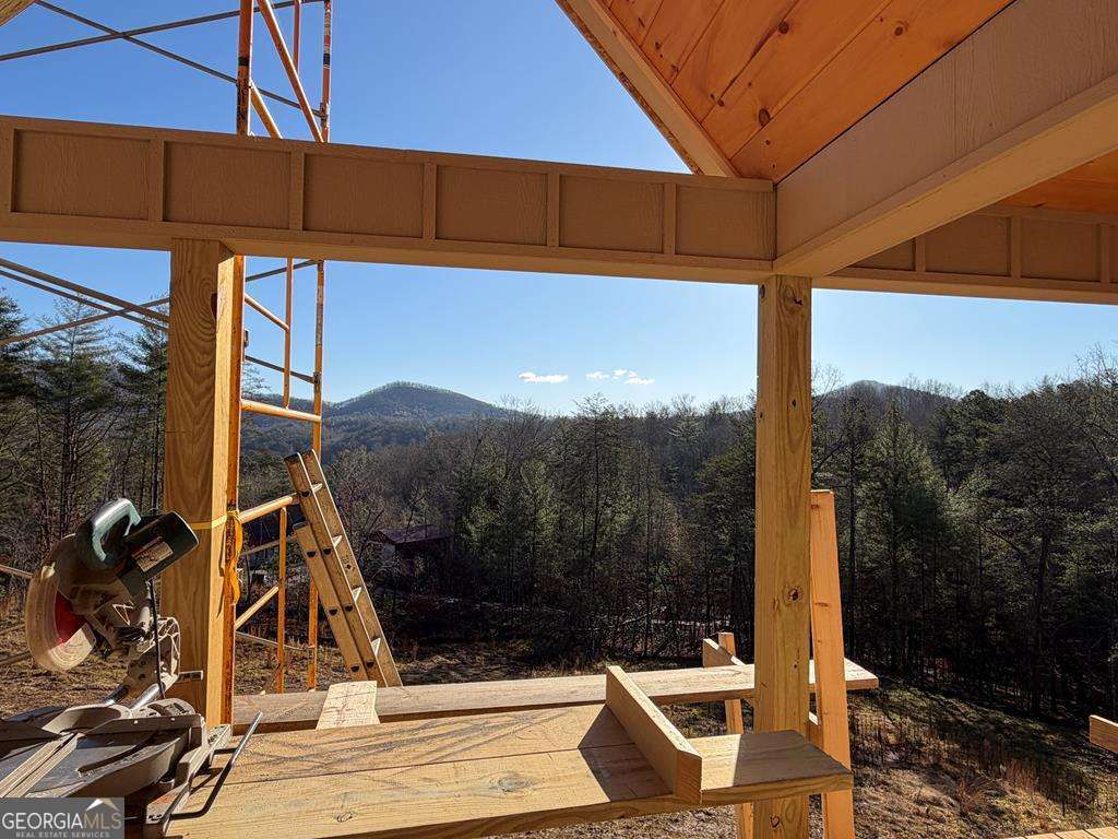 20 B Twin Springs Road Mineral Bluff, GA 30559 - Photo 15 of 48