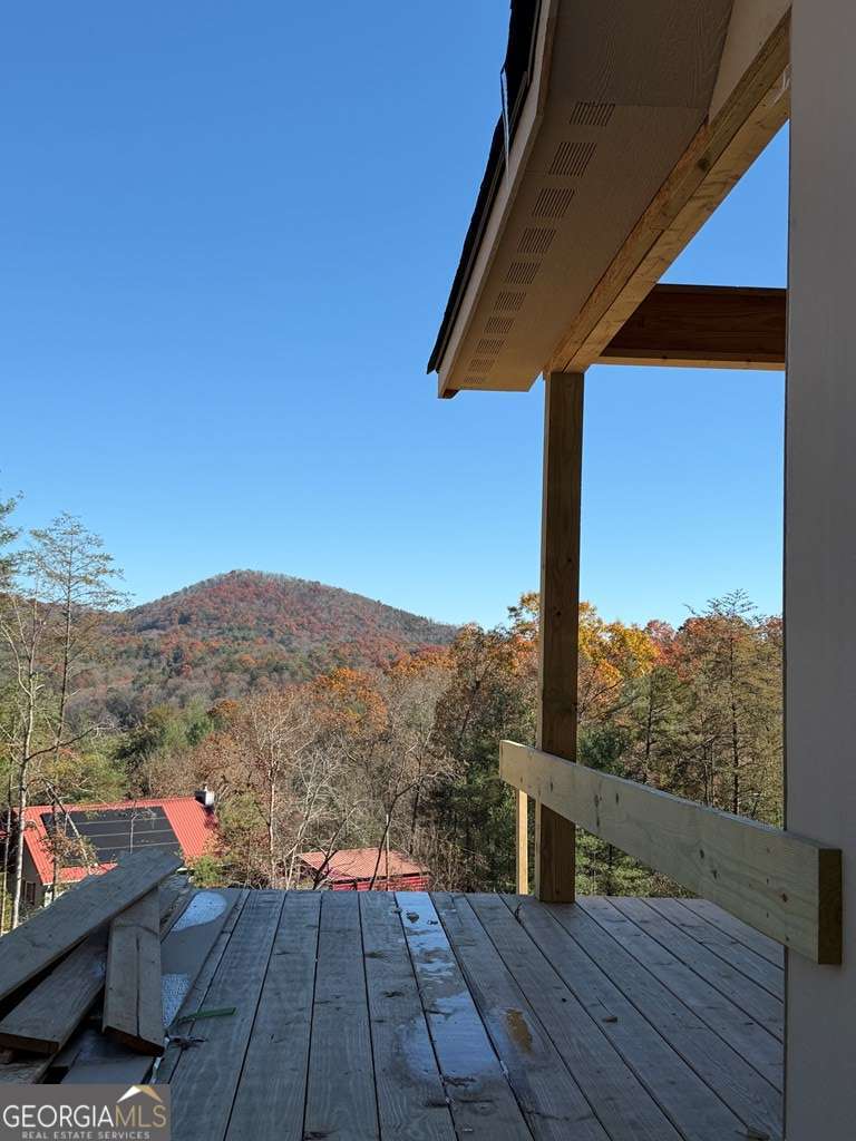 20 B Twin Springs Road Mineral Bluff, GA 30559 - Photo 3 of 48