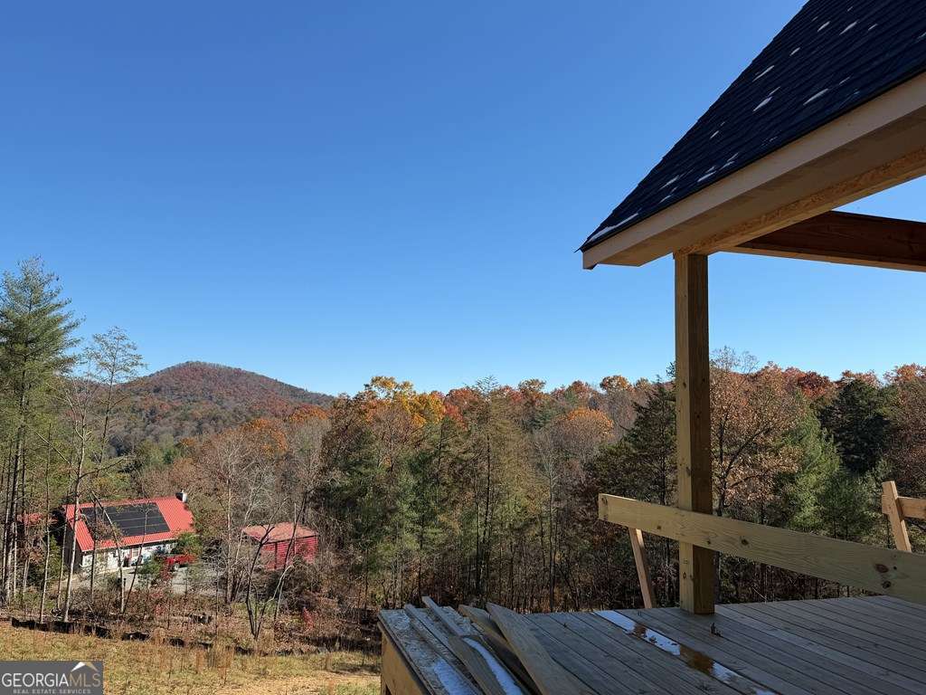 20 B Twin Springs Road Mineral Bluff, GA 30559 - Photo 7 of 48