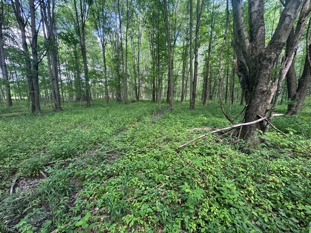 Shafer Road Warren, OH 44481 - Photo 4 of 13 Gallery Image 4