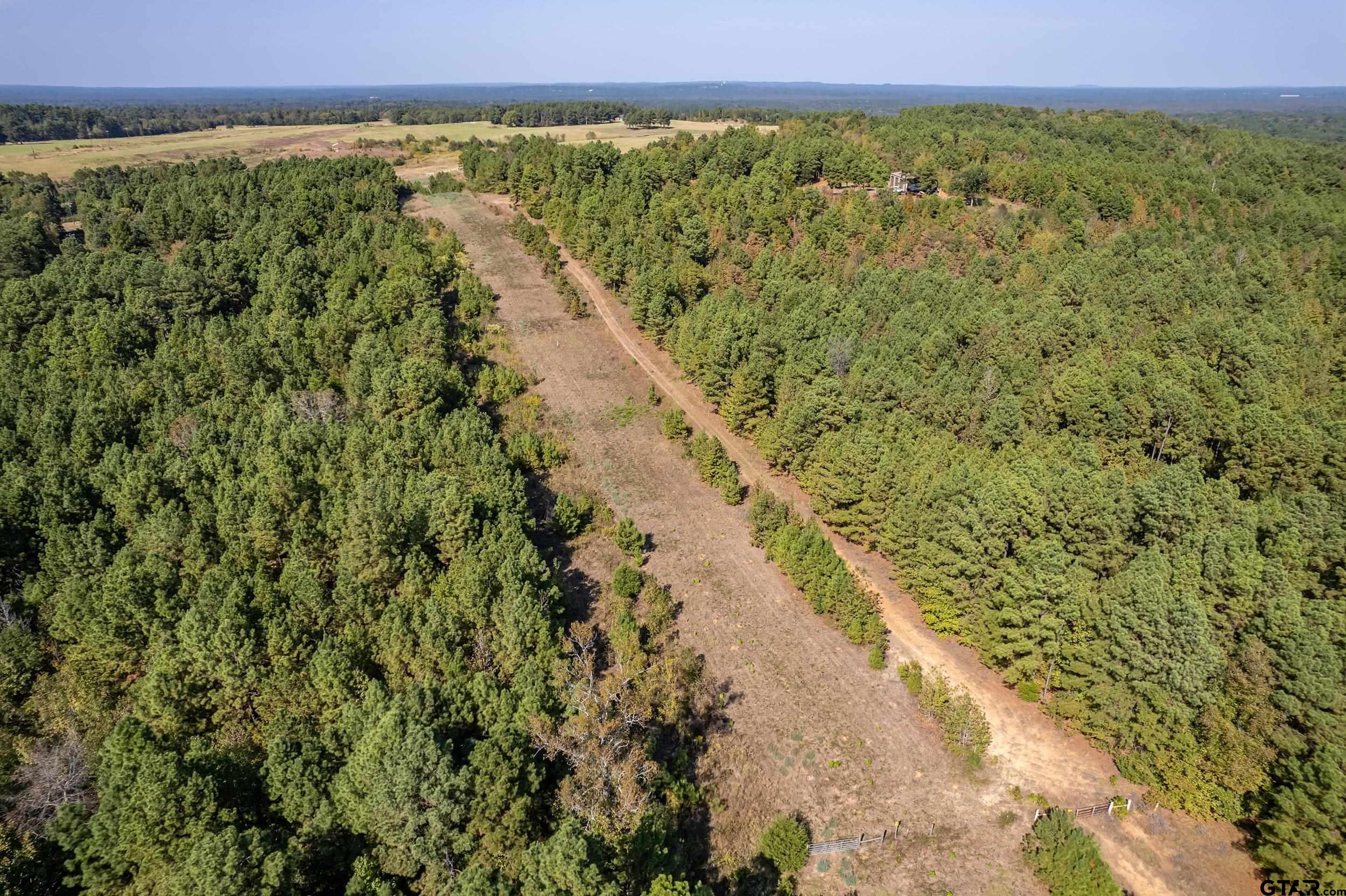 0 County Road 356 Winona, TX 75792 - Photo 3 of 4