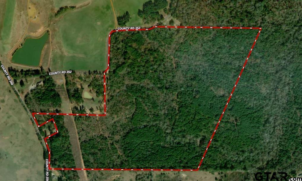 0 County Road 356 Winona, TX 75792 - Photo 4 of 4