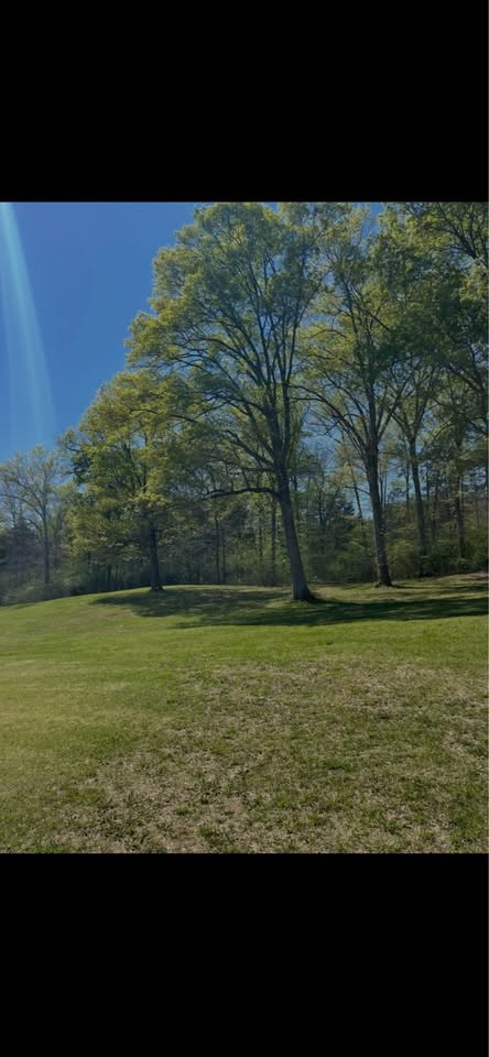 21552 Us 127 Dunlap, TN 37327 - Photo 2 of 10 a view of an ocean