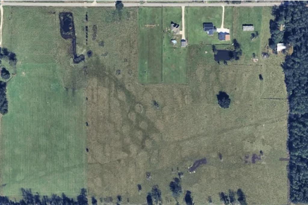 0 Arthur Marcantel Road Dequincy, LA 70633 - Photo 3 of 3