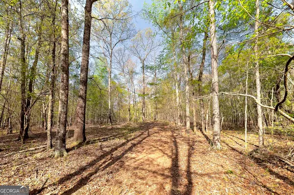 $350,000 | 0 Kilgore Road, Griffin, GA 30223