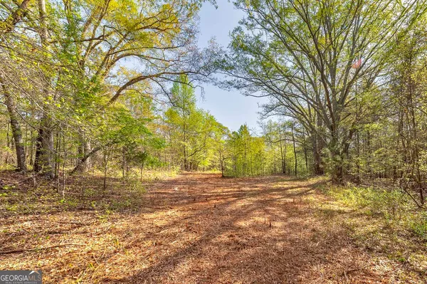 $350,000 | 0 Kilgore Road, Griffin, GA 30223