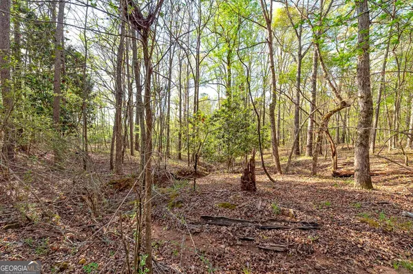 $350,000 | 0 Kilgore Road, Griffin, GA 30223