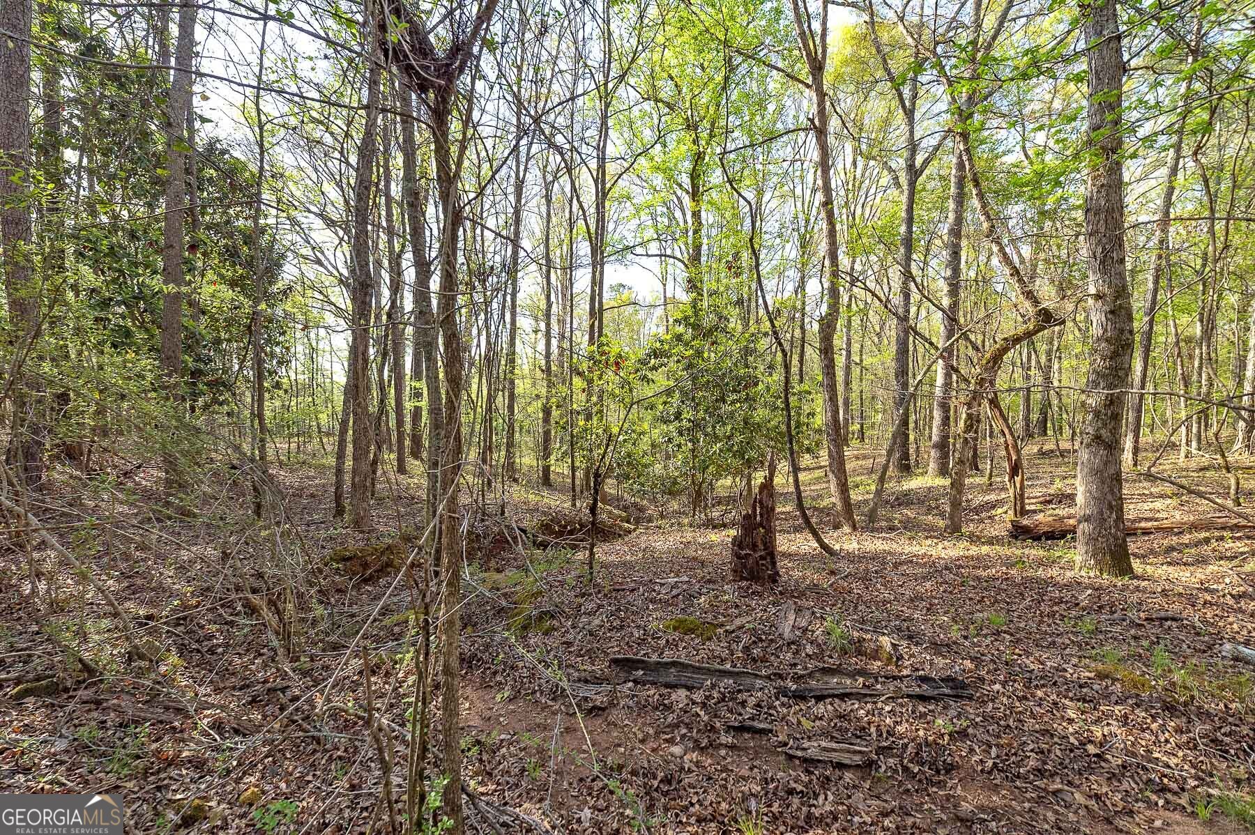 0 Kilgore Road Griffin, GA 30223 - Photo 15 of 17