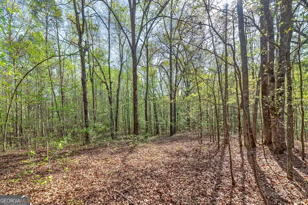 $350,000 | 0 Kilgore Road, Griffin, GA 30223
