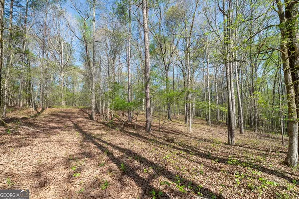 $350,000 | 0 Kilgore Road, Griffin, GA 30223
