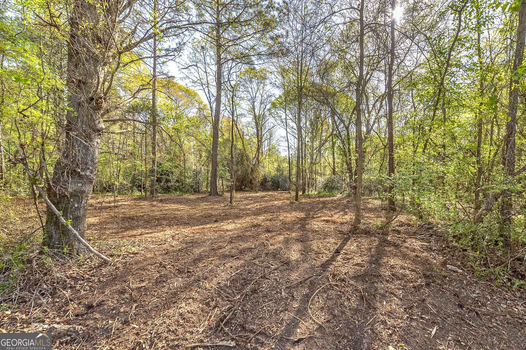 0 Kilgore Road Griffin, GA 30223 - Photo 6 of 17