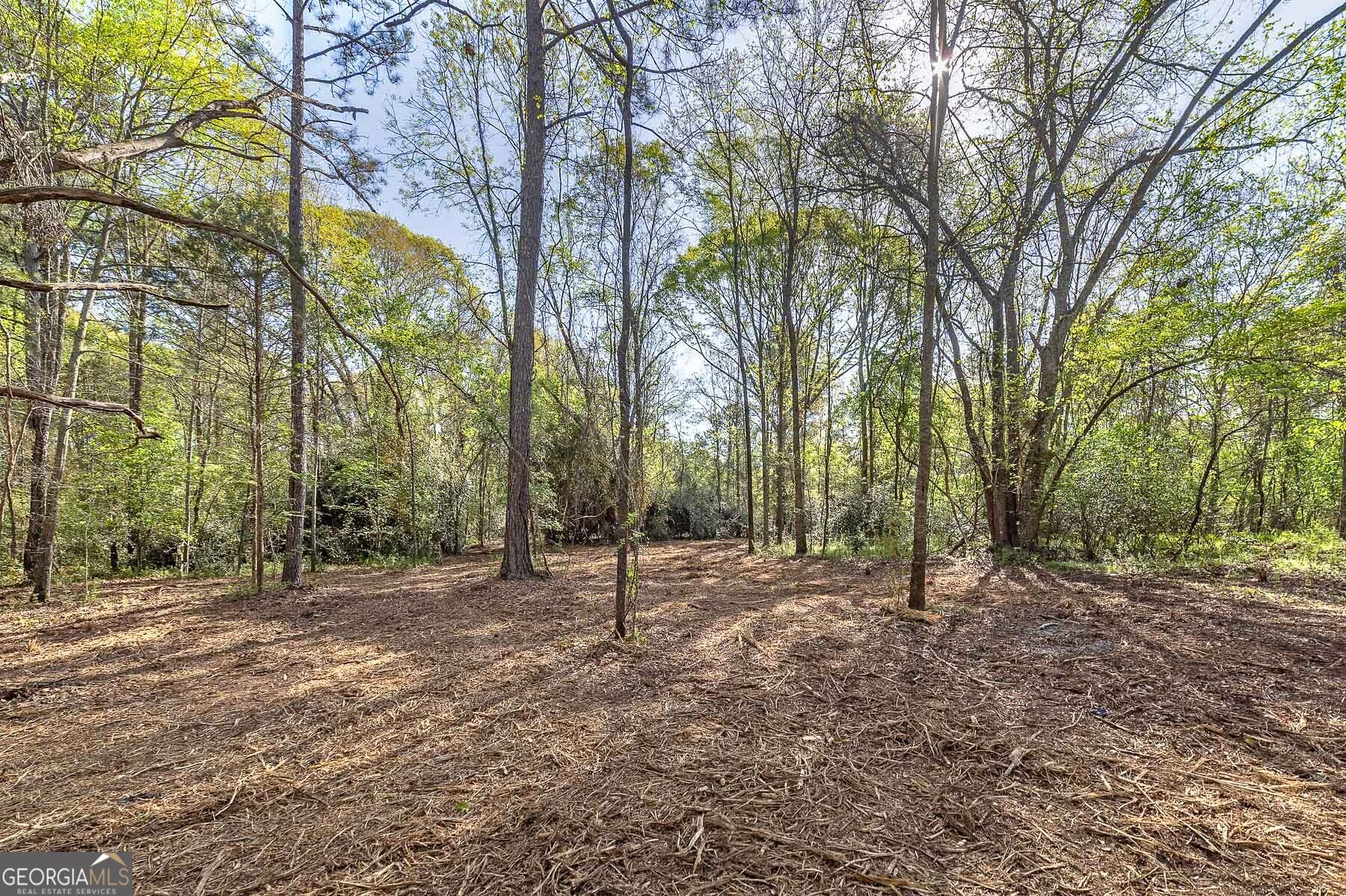 0 Kilgore Road Griffin, GA 30223 - Photo 7 of 17