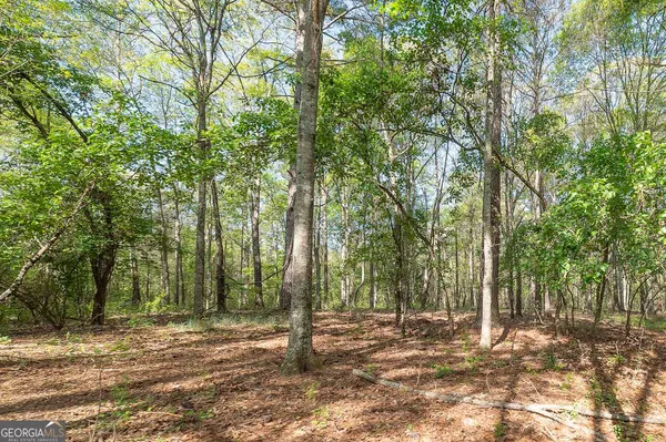 $350,000 | 0 Kilgore Road, Griffin, GA 30223