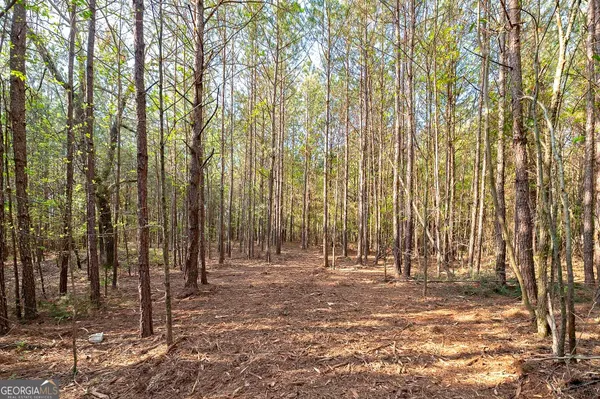 $350,000 | 0 Kilgore Road, Griffin, GA 30223