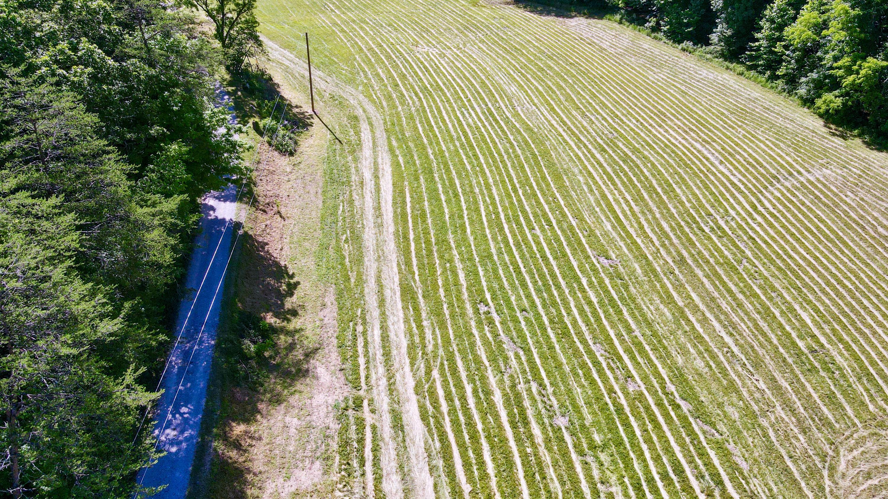 1725 Hull Road, Unit TRACT 4 WOODS WAYNE FOREST) Patriot, OH 45658 - Photo 19 of 45 20240607_142650000_iOS