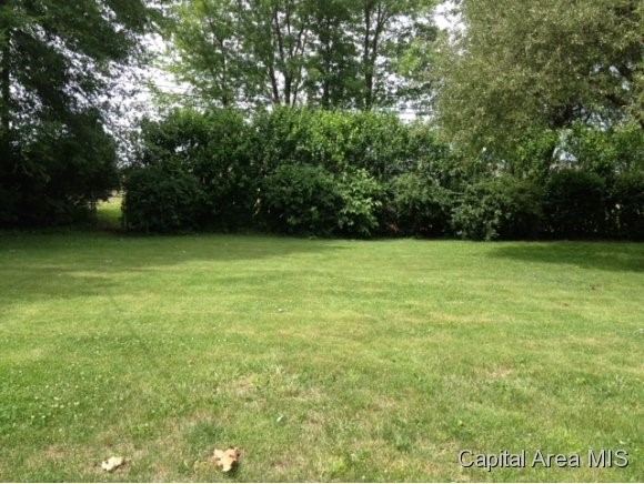 1611 Deerfield Road Chatham, IL 62629 - Photo 8 of 9 Gallery Image 8