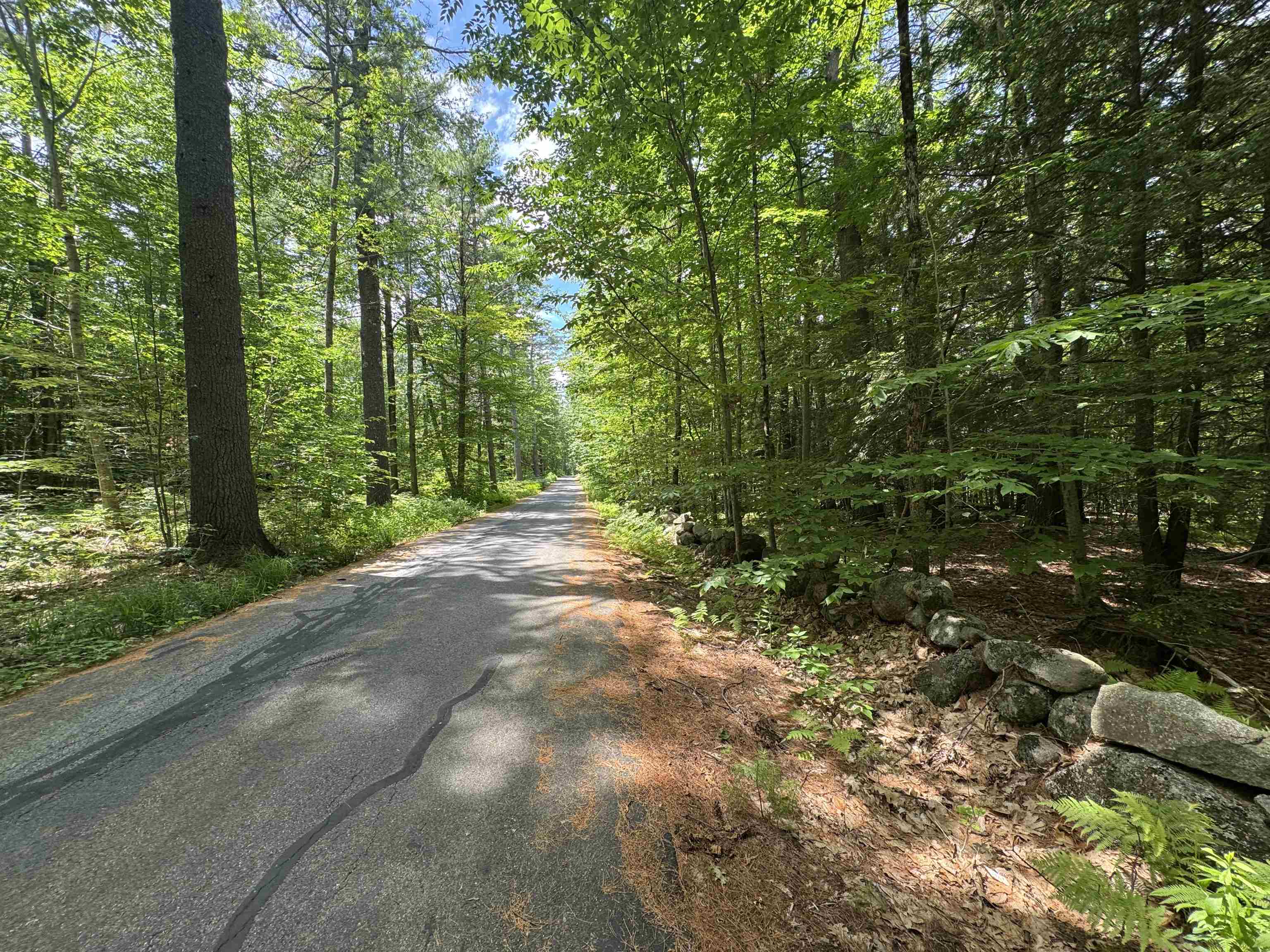 44 Pease Road Meredith, NH 03253 - Photo 60 of 60