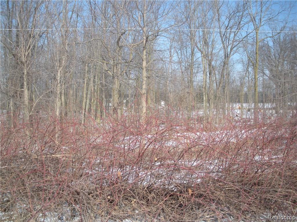 4340 Bishop Road Dryden, MI 48428 - Photo 31 of 35